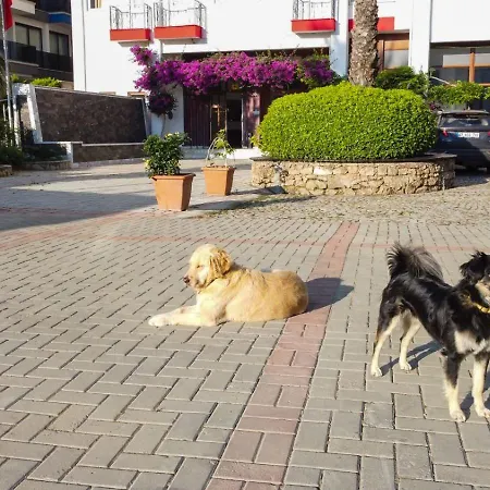 Peace Hotel Mahmutlar